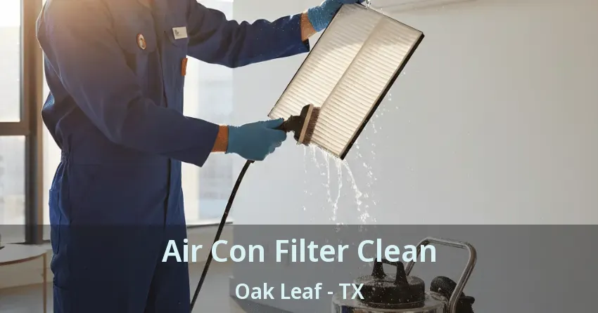 Air Con Filter Clean Oak Leaf - TX