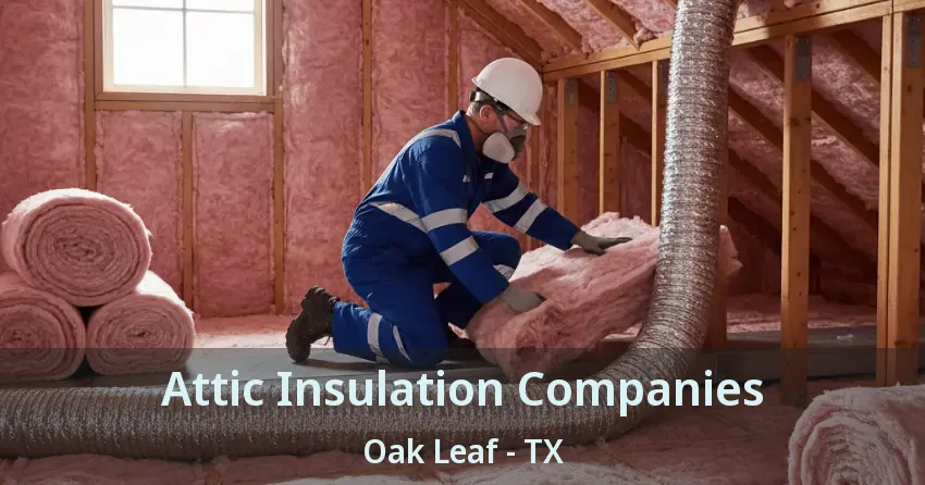 Attic Insulation Companies Oak Leaf - TX