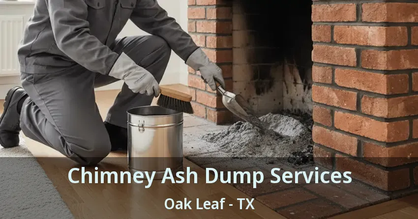 Chimney Ash Dump Services Oak Leaf - TX Chimney Ash Dump Services Oak Leaf - TX
