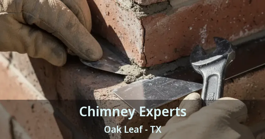 Chimney Experts Oak Leaf - TX