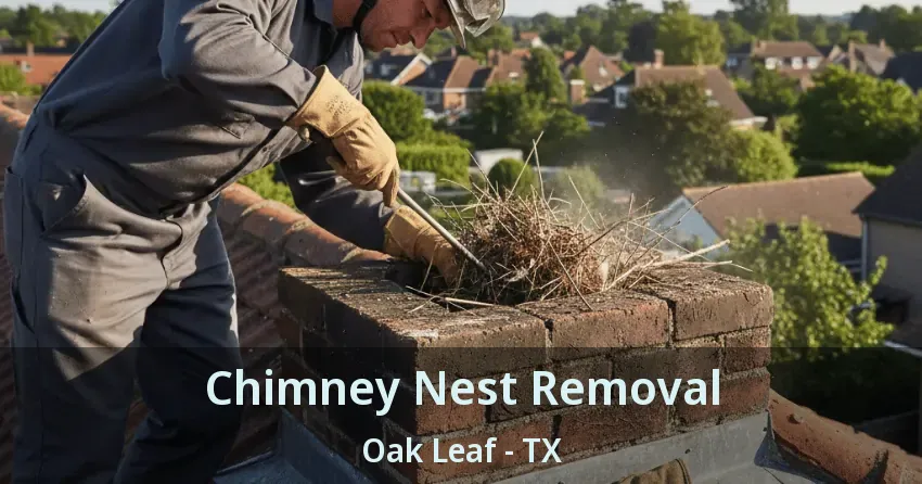 Chimney Nest Removal Oak Leaf - TX Chimney Nest Removal Oak Leaf - TX