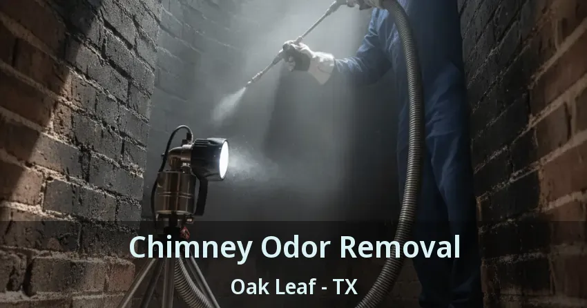 Chimney Odor Removal Oak Leaf - TX Chimney Odor Removal Oak Leaf - TX