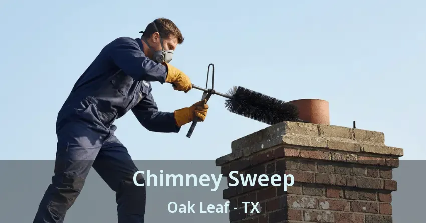 Chimney Sweep Oak Leaf - TX