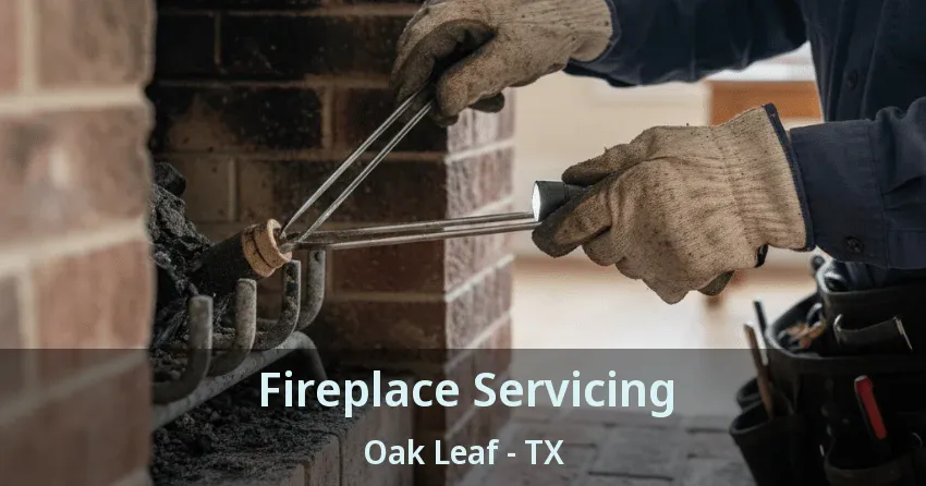 Fireplace Servicing Oak Leaf - TX