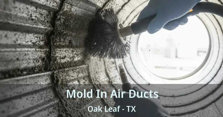 Mold In Air Ducts Oak Leaf - TX