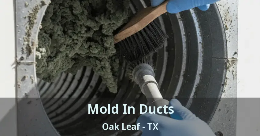 Mold In Ducts Oak Leaf - TX