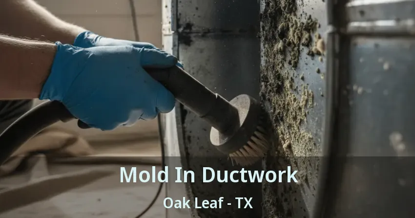 Mold In Ductwork Oak Leaf - TX