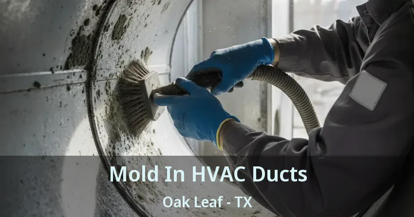 Mold In HVAC Ducts Oak Leaf - TX
