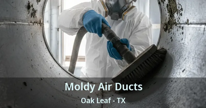 Moldy Air Ducts Oak Leaf - TX